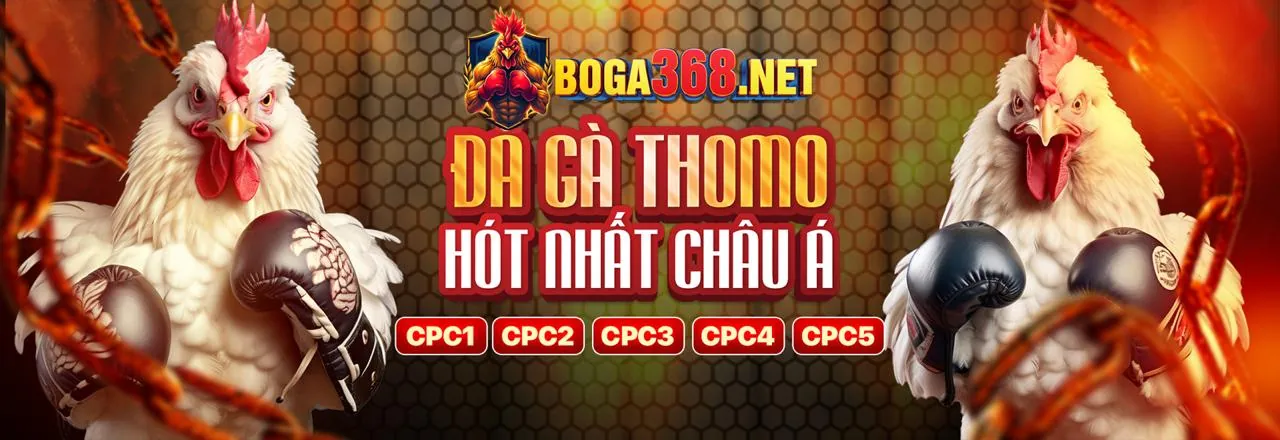 Đội ngũ Win55