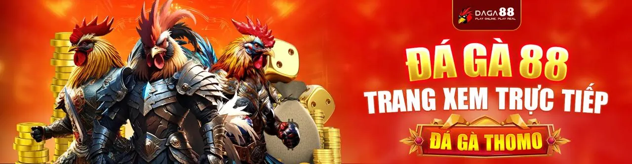Đá Gà Trực Tiếp Win55 Mới Nhất 2026